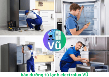 bảo dưỡng tủ lạnh electrolux thợ của VŨ
