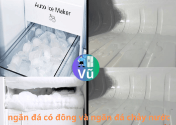 ngăn đá có đông và ngăn đá chảy nước